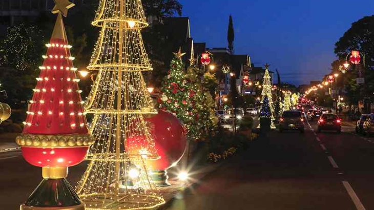 NATAL LUZ EM GRAMADO & CANELA - COMPLETO